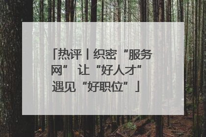 热评丨织密“服务网” 让“好人才”遇见“好职位”
