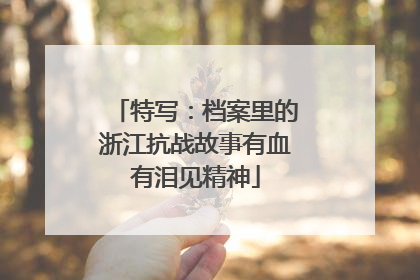 特写：档案里的浙江抗战故事有血有泪见精神