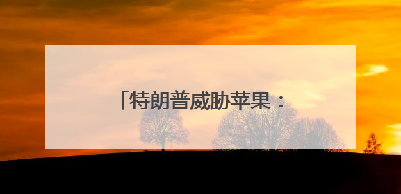 特朗普威胁苹果：不在美制造，就缴至少25%关税