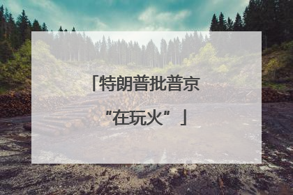 特朗普批普京“在玩火”