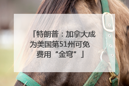 特朗普：加拿大成为美国第51州可免费用“金穹”