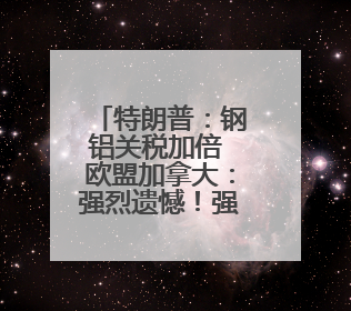 特朗普：钢铝关税加倍 欧盟加拿大：强烈遗憾！强烈反对！