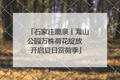 石家庄鹿泉丨海山公园万株荷花绽放 开启夏日赏荷季