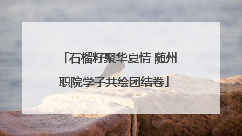 石榴籽聚华夏情 随州职院学子共绘团结卷