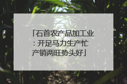 石首农产品加工业：开足马力生产忙 产销两旺势头好