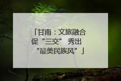 甘南：文旅融合促“三交” 秀出“最美民族风”
