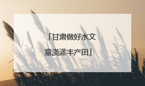 甘肃做好水文章浇灌丰产田
