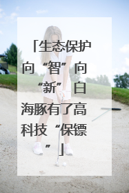 生态保护向“智”向“新” 白海豚有了高科技“保镖”