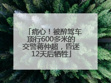 痛心！被醉驾车顶行600多米的交警蒋仲超，昏迷12天后牺牲
