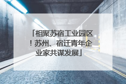 相聚苏宿工业园区！苏州、宿迁青年企业家共谋发展