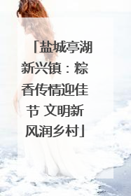 盐城亭湖新兴镇：粽香传情迎佳节 文明新风润乡村