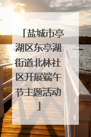 盐城市亭湖区东亭湖街道北林社区开展端午节主题活动