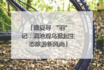 盛夏寻 “羽” 记：滇池观鸟掀起生态旅游新风尚