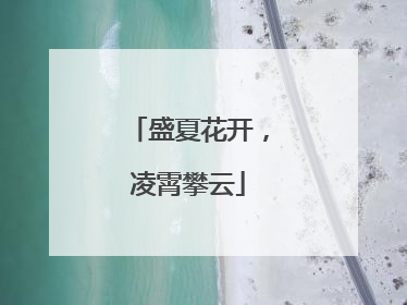 盛夏花开，凌霄攀云