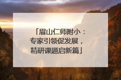眉山仁师附小：专家引领促发展，精研课题启新篇