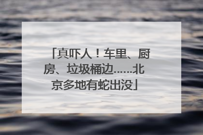 真吓人！车里、厨房、垃圾桶边……北京多地有蛇出没