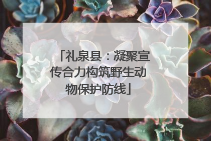 礼泉县：凝聚宣传合力构筑野生动物保护防线