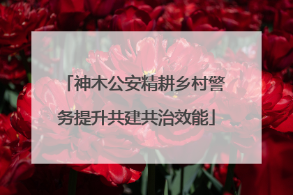 神木公安精耕乡村警务提升共建共治效能
