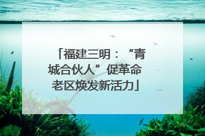 福建三明：“青城合伙人”促革命老区焕发新活力
