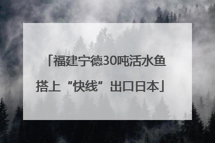 福建宁德30吨活水鱼搭上“快线”出口日本