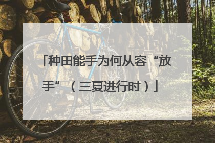 种田能手为何从容“放手”（三夏进行时）