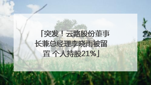 突发！云路股份董事长兼总经理李晓雨被留置 个人持股21%