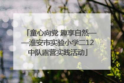 童心向党 趣享自然——淮安市实验小学二12中队露营实践活动