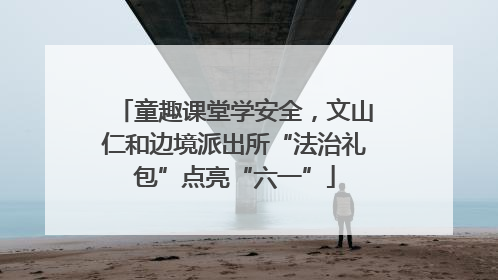 童趣课堂学安全，文山仁和边境派出所“法治礼包”点亮“六一”