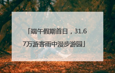 端午假期首日，31.67万游客雨中漫步游园