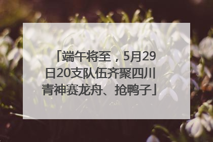 端午将至，5月29日20支队伍齐聚四川青神赛龙舟、抢鸭子