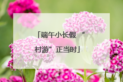 端午小长假 “村游”正当时