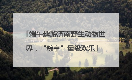 端午趣游济南野生动物世界，“粽享”量级欢乐