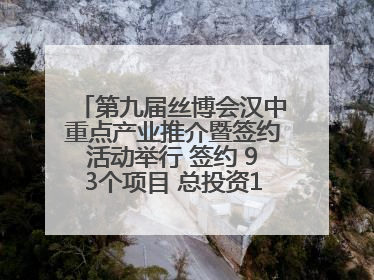 第九届丝博会汉中重点产业推介暨签约活动举行 签约 93个项目 总投资132.23 亿元