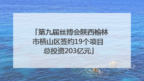 第九届丝博会陕西榆林市横山区签约19个项目 总投资203亿元