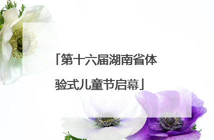 第十六届湖南省体验式儿童节启幕