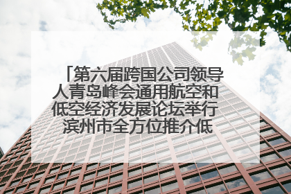 第六届跨国公司领导人青岛峰会通用航空和低空经济发展论坛举行 滨州市全方位推介低空经济发展优势