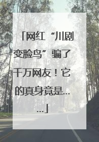 网红“川剧变脸鸟”骗了千万网友！它的真身竟是……