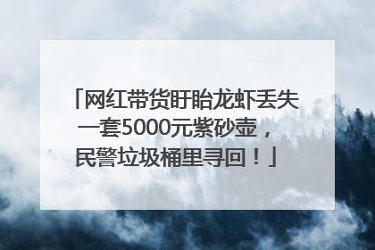 网红带货盱眙龙虾丢失一套5000元紫砂壶，民警垃圾桶里寻回！