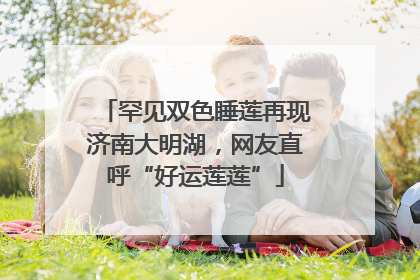 罕见双色睡莲再现济南大明湖，网友直呼“好运莲莲”