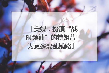 美媒：扮演“战时领袖”的特朗普为更多混乱铺路