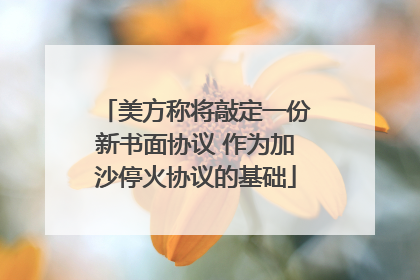 美方称将敲定一份新书面协议 作为加沙停火协议的基础