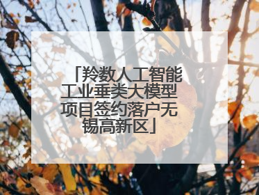 羚数人工智能工业垂类大模型项目签约落户无锡高新区