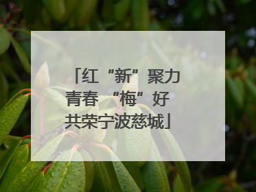 红“新”聚力青春 “梅”好共荣宁波慈城