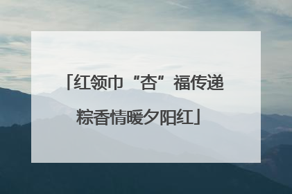 红领巾“杏”福传递 粽香情暖夕阳红
