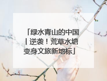 绿水青山的中国丨逆袭！荒草水塘变身文旅新地标