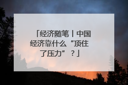 经济随笔丨中国经济靠什么“顶住了压力”？