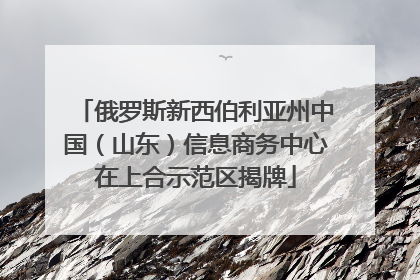 俄罗斯新西伯利亚州中国（山东）信息商务中心在上合示范区揭牌