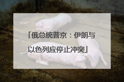 俄总统普京：伊朗与以色列应停止冲突