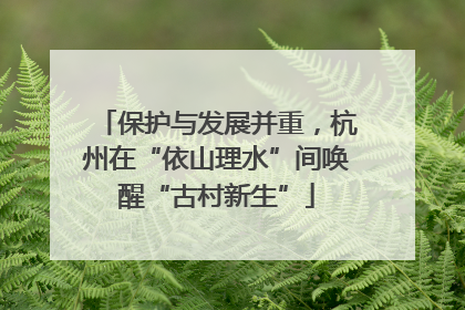 保护与发展并重，杭州在“依山理水”间唤醒“古村新生”