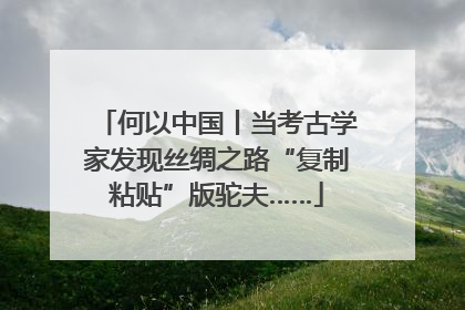 何以中国丨当考古学家发现丝绸之路“复制粘贴”版驼夫……